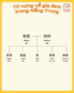 Cách giới thiệu gia đình bằng tiếng Trung – Từ vựng các thành viên