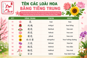 Tên các loài hoa bằng tiếng Trung